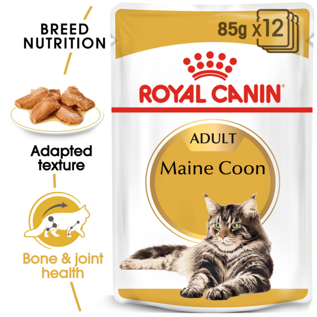 Royal Canin Maine Coon Adult Wet Cat Food - Product Image