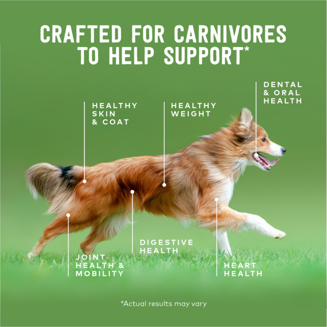 ZIWI Venison Wet Dog Food - Product Image 5