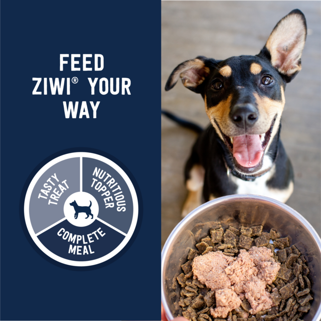 ZIWI Venison Wet Dog Food - Product Image 4