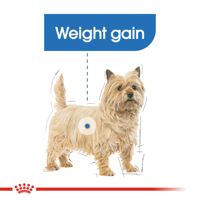 Royal Canin Mini Light Weight Care Dry Dog Food - Product Image 2