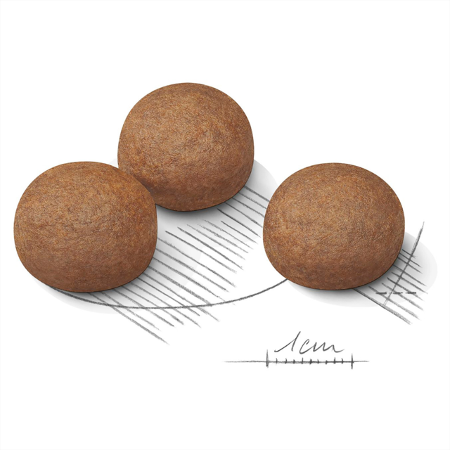 Royal Canin Maxi Digestive Care Dry Dog Food - Product Image 2