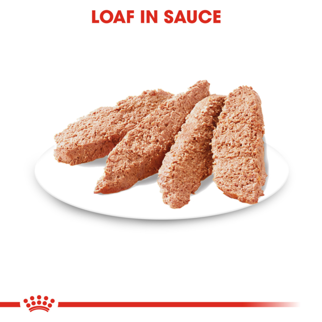 Royal Canin Exigent Loaf Adult Wet Dog Food - Product Image 4
