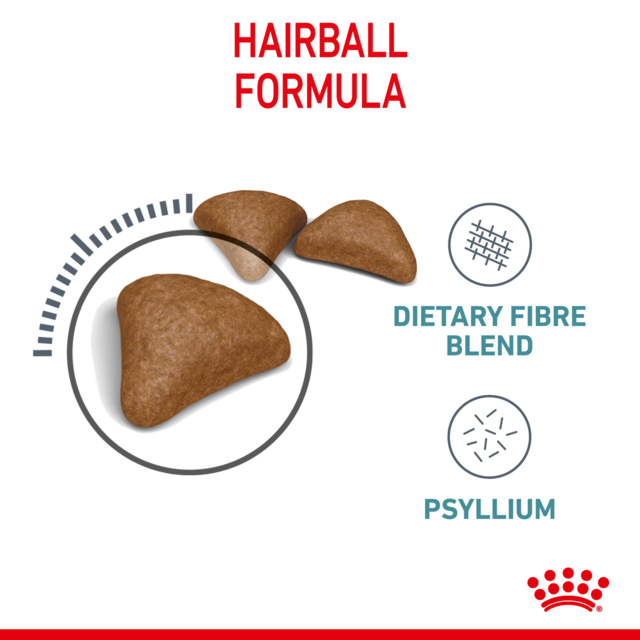 Royal Canin Hairball Care Dry Cat Food - Product Image 1