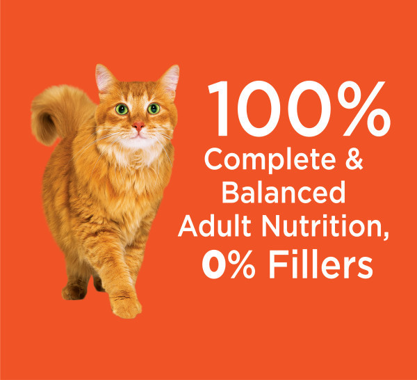 IAMS Proactive Health Adult Chicken Dry Cat Food - Product Image 7