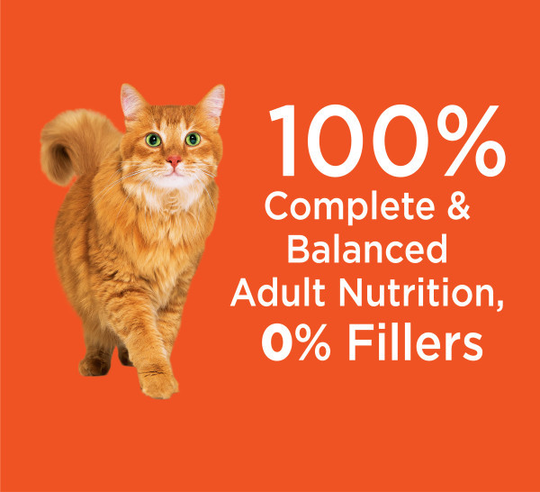 IAMS Proactive Health Hairball Care Adult Chicken & Salmon Dry Cat Food - Product Image 7