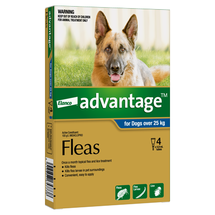 Advantage Flea Treatment for Dog 25kg+ - Product Image