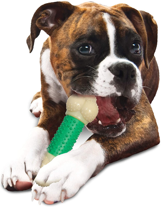 Nylabone Power Chew Double Action Chew Toy - Product Image 5