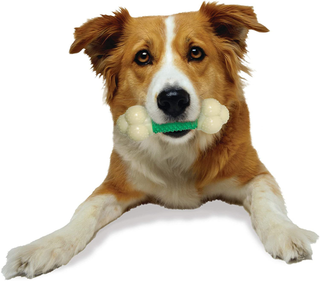 Nylabone Power Chew Double Action Chew Toy - Product Image 4