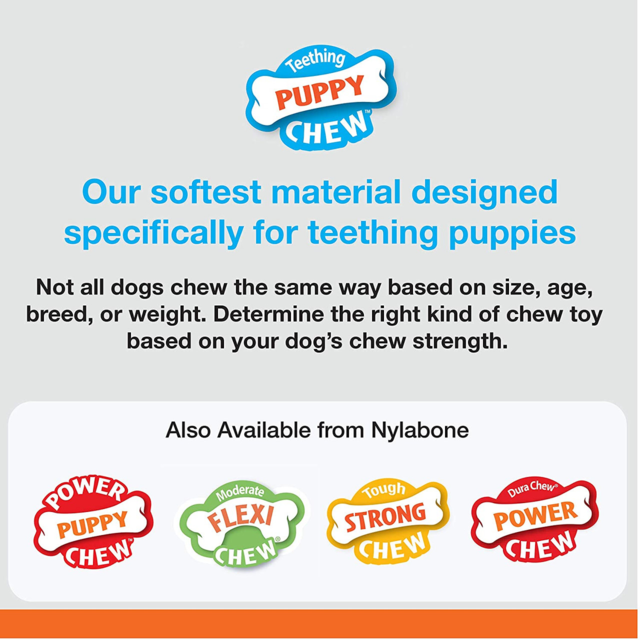 Nylabone Puppy Chew Bone & Ring Bone Twin Pack Chew Toys - Product Image 2