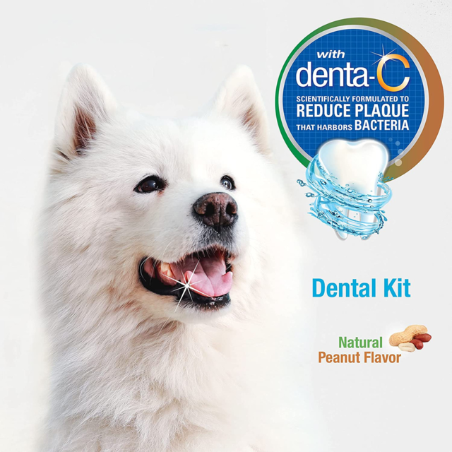 Nylabone Advanced Oral Care Dog Dental Kit Peanut Flavour - Product Image 3