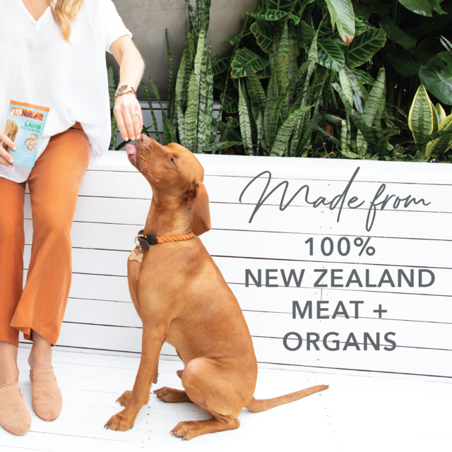 K9 Natural Lamb Lung Protein Bites Freeze Dried Dog Treats - Product Image 3