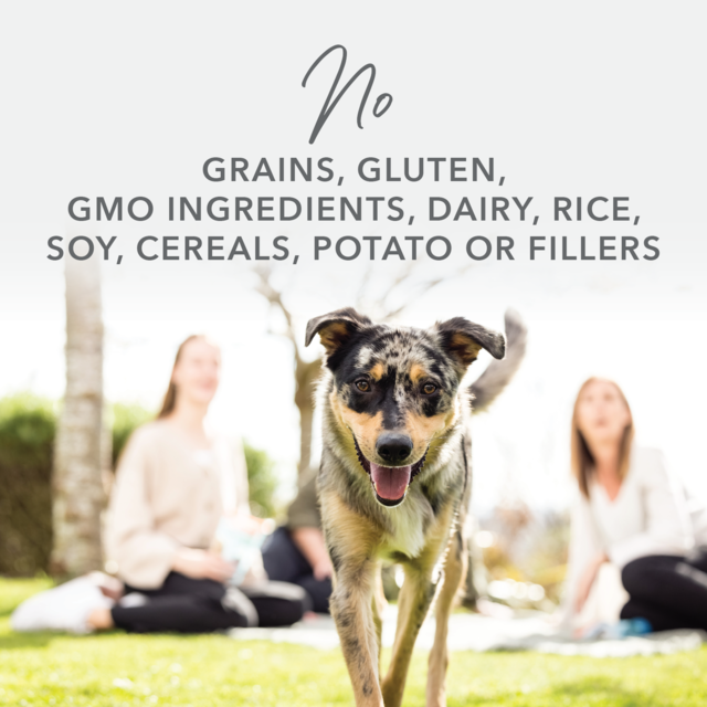 K9 Natural Lamb Feast Wet Dog Food - Product Image 3