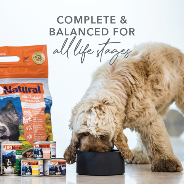 K9 Natural Chicken Feast Wet Dog Food - Product Image 4