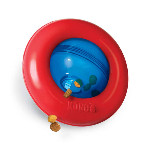 KONG Gyro Ball Dog Toy - Product Image 0