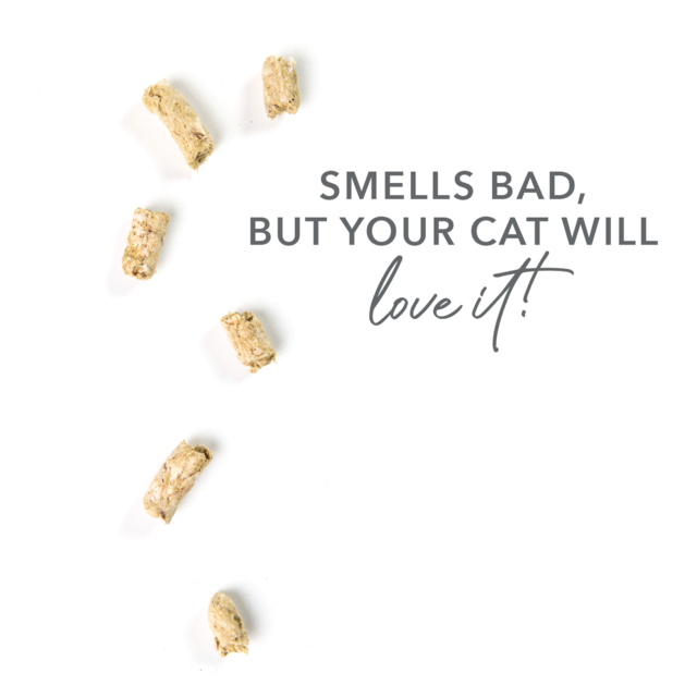 Feline Natural Lamb Green Tripe Freeze Dried Cat Food Booster - Product Image 2