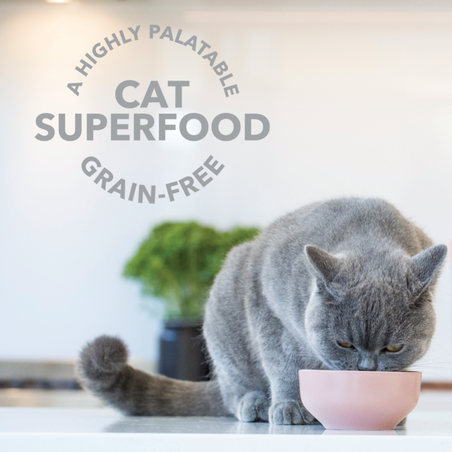 Feline Natural Lamb Green Tripe Freeze Dried Cat Food Booster - Product Image 3