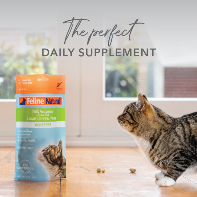 Feline Natural Lamb Green Tripe Freeze Dried Cat Food Booster - Product Image 4