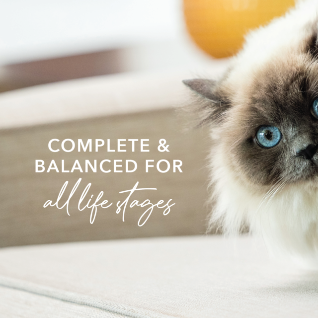 Feline Natural Chicken & Venison Feast Wet Cat Food - Product Image 7