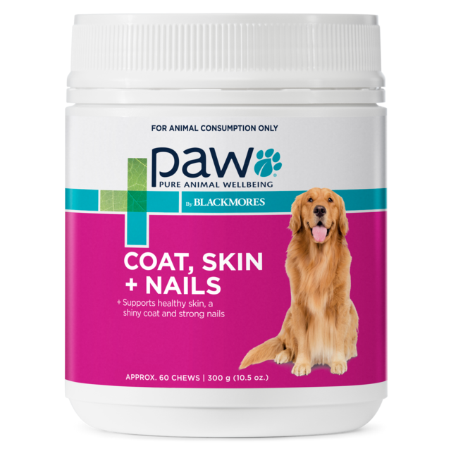 Blackmores PAW Coat Skin + Nails Chews - Product Image