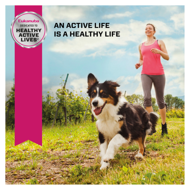 Eukanuba Adult Small Breed Dry Dog Food - Product Image 9