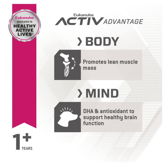 Eukanuba Adult Fit Body Large Breed Dry Dog Food - Product Image 5