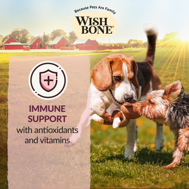 Wishbone Graze Grain Free Dry Dog Food - Product Image 5