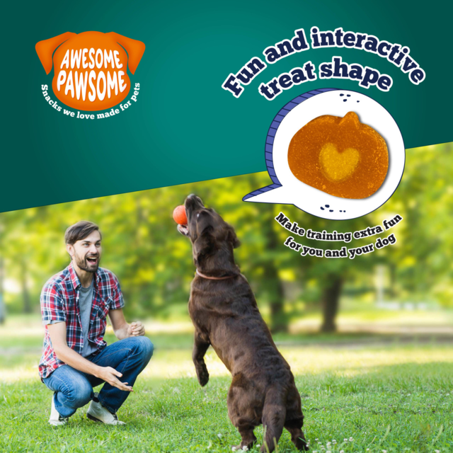 Awesome Pawsome Super Pumpkin Recipe Dog Treats - Product Image 6