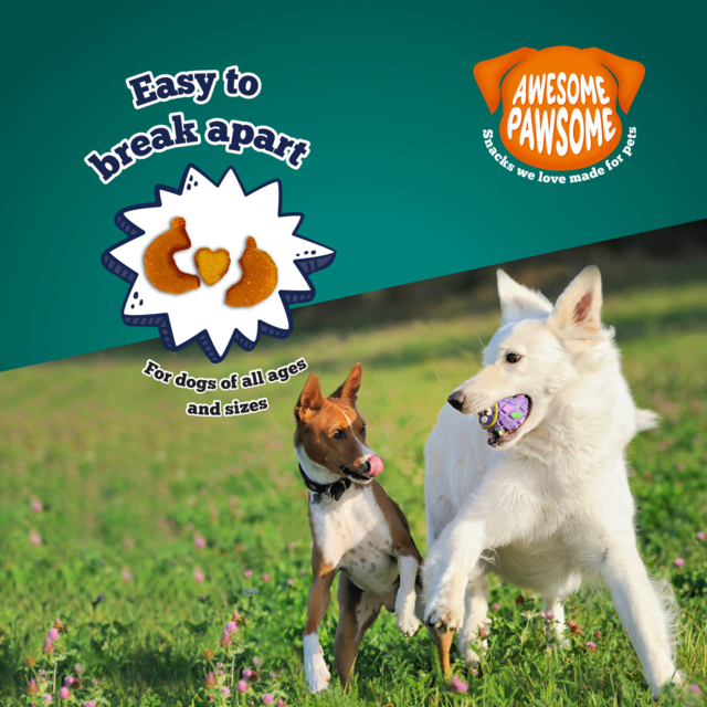 Awesome Pawsome Super Pumpkin Recipe Dog Treats - Product Image 8