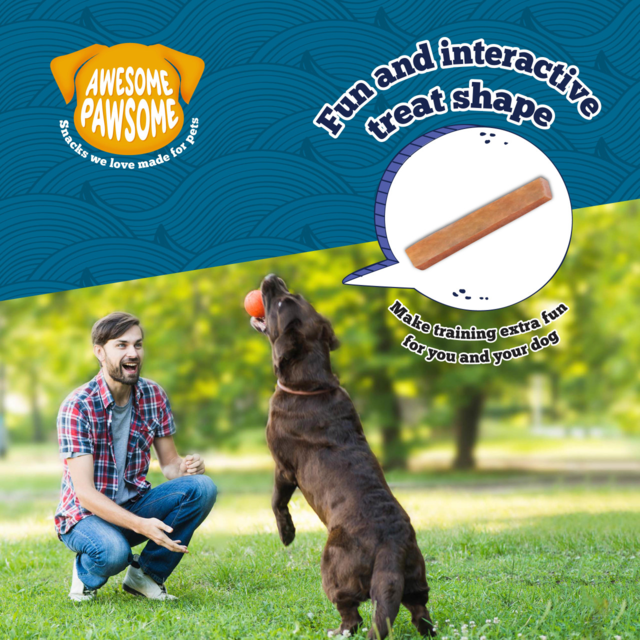 Awesome Pawsome Salmon Supreme Recipe Dog Treats - Product Image 8