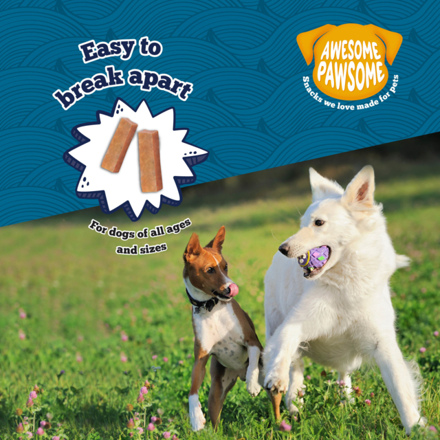 Awesome Pawsome Salmon Supreme Recipe Dog Treats - Product Image 6