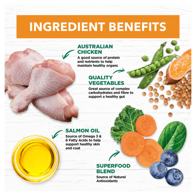 Ivory Coat Grain Free Chicken Adult Dry Dog Food - Product Image 2