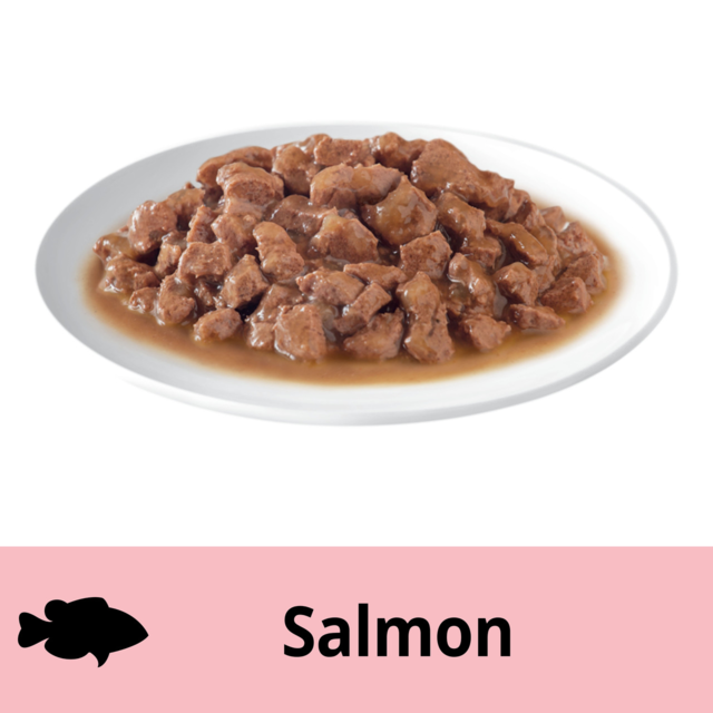 Dine Saucy Morsels With Salmon Wet Cat Food - Product Image 5