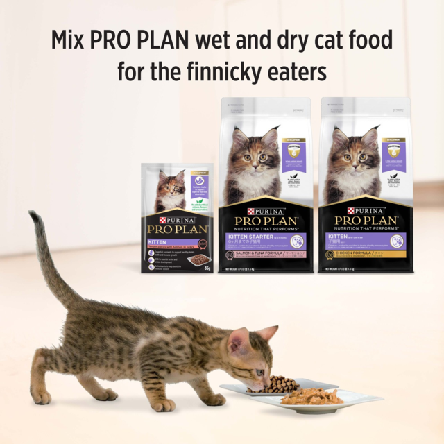 Pro Plan Kitten Salmon in Gravy Wet Cat Food - Product Image 7