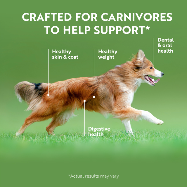 ZIWI Lamb Air Dried Dog Food - Product Image 4