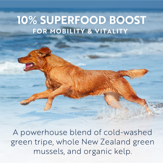 ZIWI Lamb Air Dried Dog Food - Product Image 6