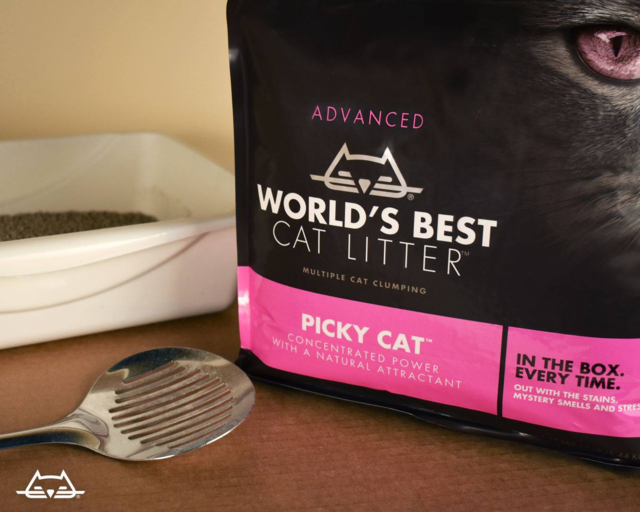 World's Best Cat Litter Picky Cat Clumping Formula - Product Image 1