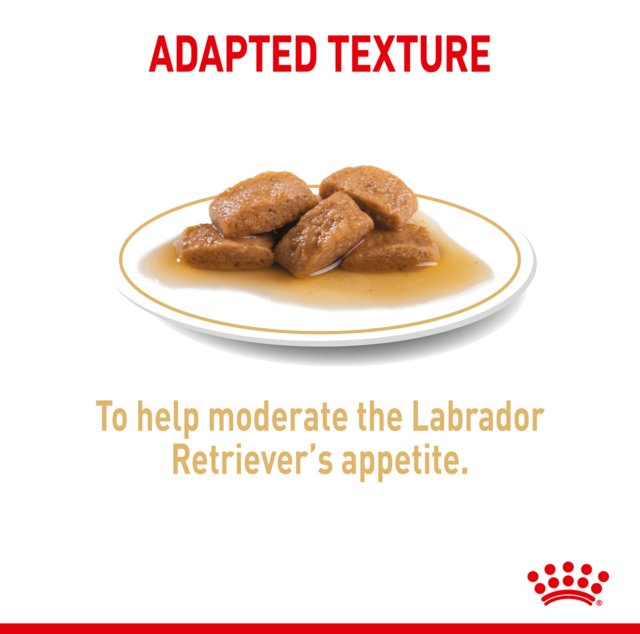 Royal Canin Labrador Retriever Gravy Adult Wet Dog Food - Product Image 3