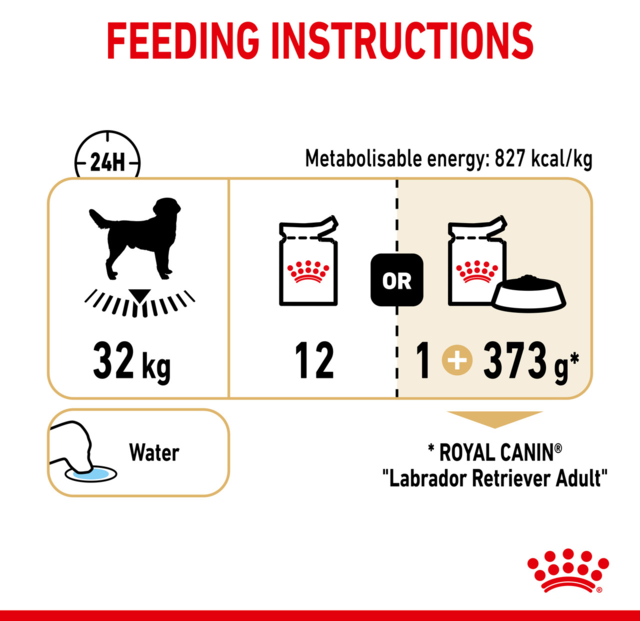Royal Canin Labrador Retriever Gravy Adult Wet Dog Food - Product Image 7