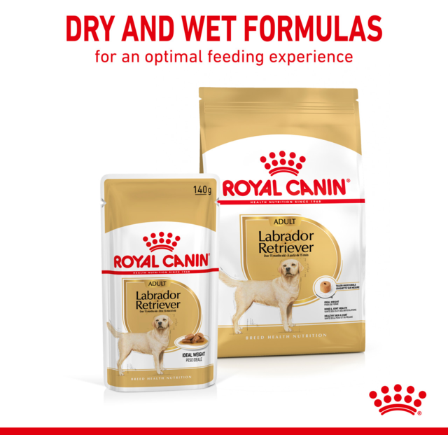 Royal Canin Labrador Retriever Gravy Wet Food - Product Image 5