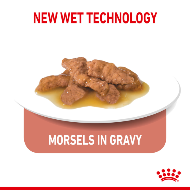 Royal Canin Indoor Gravy Wet Cat Food - Product Image 3