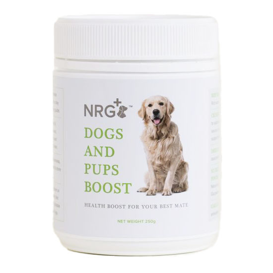 NRG+ Plus Dogs & Pups Boost - Product Image