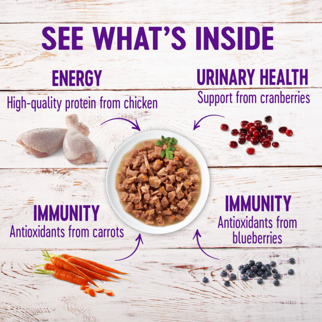 Wellness Morsels Chicken & Turkey Adult Wet Cat Food - Product Image 1