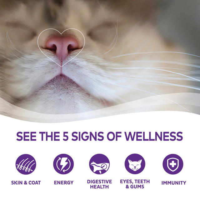 Wellness Morsels Turkey & Duck Adult Wet Cat Food - Product Image 2