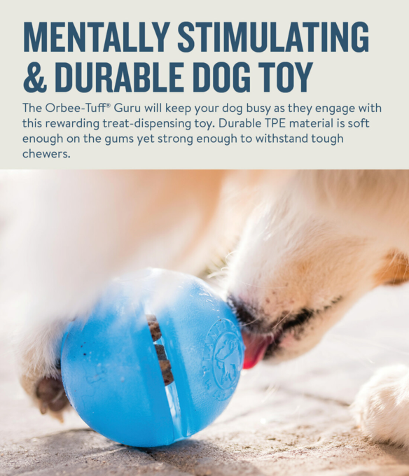 Planet Dog Orbee-Tuff GuRu Puzzle Dog Toy - Product Image 4