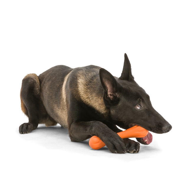 West Paw Zogoflex Hurley Dog Toy - Product Image 2