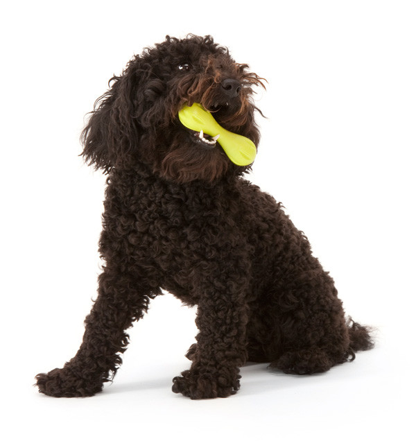 West Paw Zogoflex Hurley Dog Toy - Product Image 0