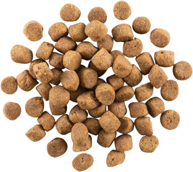 Now Fresh Grain Free Adult Dry Dog Food - Product Image 2