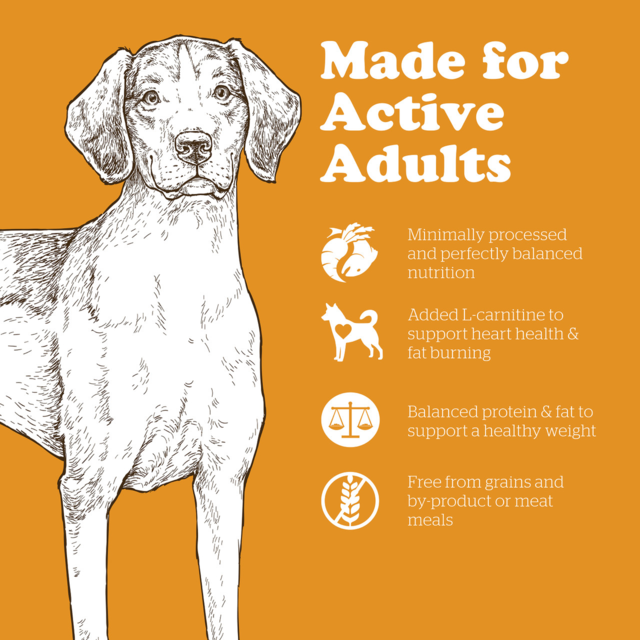 Now Fresh Grain Free Adult Dry Dog Food - Product Image 5