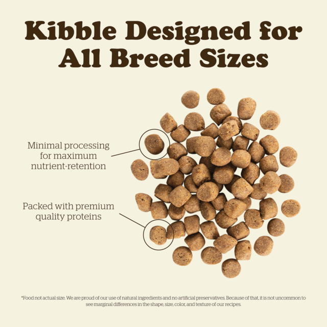 Now Fresh Grain Free Adult Dry Dog Food - Product Image 6