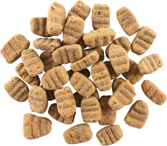 Now Fresh Grain Free Adult Large Breed Dry Dog Food - Product Image 2